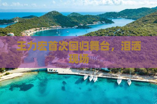 王力宏首次回归舞台，泪洒现场
