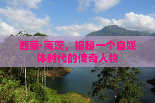 西蒙·高茨，揭秘一个自媒体时代的传奇人物