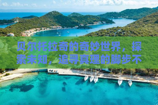 贝尔托拉奇的奇妙世界，探索未知，追寻真理的脚步不停歇