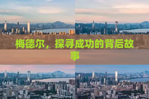 梅德尔，探寻成功的背后故事