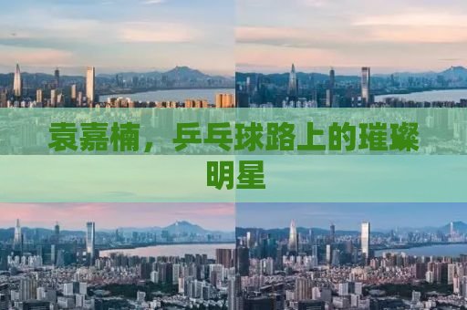 袁嘉楠，乒乓球路上的璀璨明星