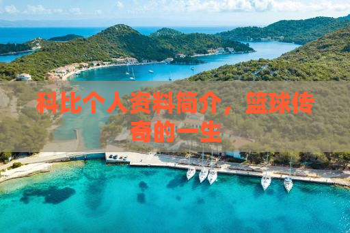 科比个人资料简介，篮球传奇的一生