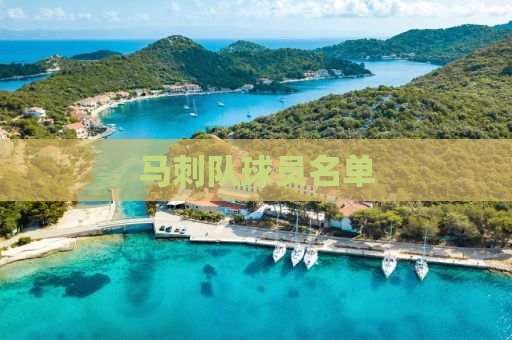 马刺队球员名单