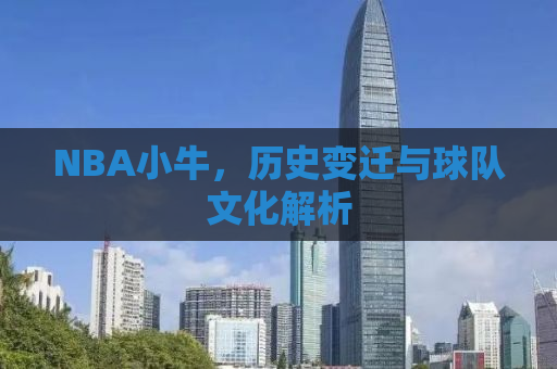 NBA小牛，历史变迁与球队文化解析