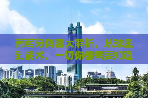 葡萄牙阵容大解析，从球星到战术，一切你都需要知道的事