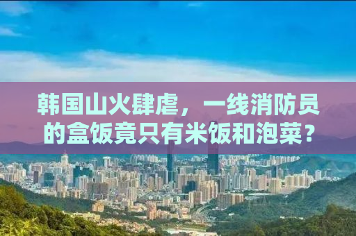 韩国山火肆虐，一线消防员的盒饭竟只有米饭和泡菜？揭示背后的真相与挑战