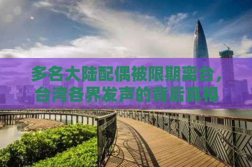 多名大陆配偶被限期离台，台湾各界发声的背后真相