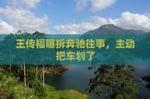 王传福曝拆奔驰往事，主动把车划了