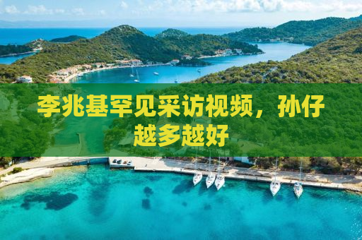 李兆基罕见采访视频，孙仔越多越好