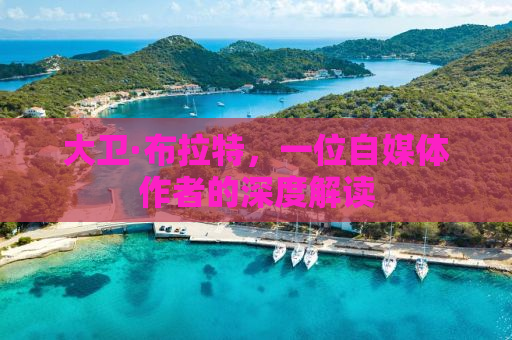 大卫·布拉特，一位自媒体作者的深度解读