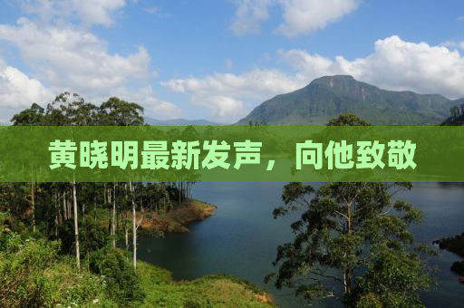 黄晓明最新发声，向他致敬