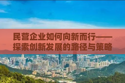 民营企业如何向新而行——探索创新发展的路径与策略