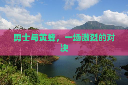 勇士与黄蜂，一场激烈的对决