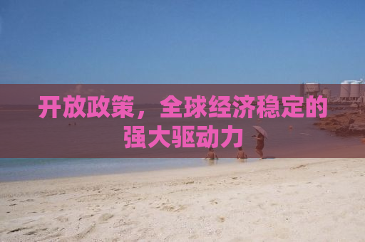 开放政策，全球经济稳定的强大驱动力