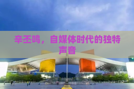 辛丕鸣，自媒体时代的独特声音