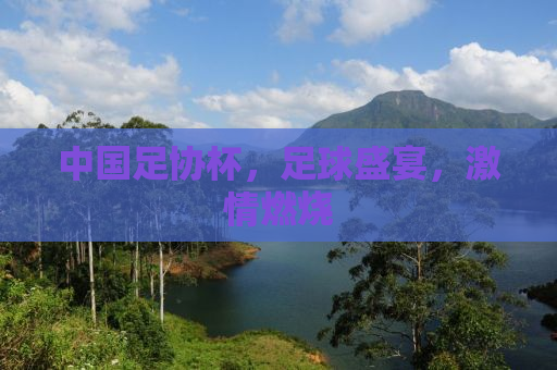 中国足协杯，足球盛宴，激情燃烧