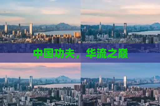 中国功夫，华流之巅