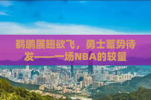 鹈鹕展翅欲飞，勇士蓄势待发——一场NBA的较量