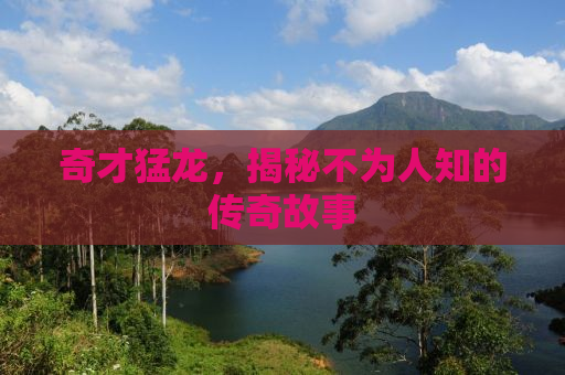 奇才猛龙，揭秘不为人知的传奇故事