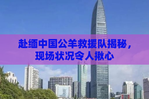 赴缅中国公羊救援队揭秘，现场状况令人揪心