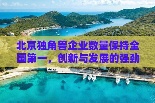 北京独角兽企业数量保持全国第一，创新与发展的强劲引擎