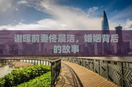 谢晖前妻佟晨洁，婚姻背后的故事