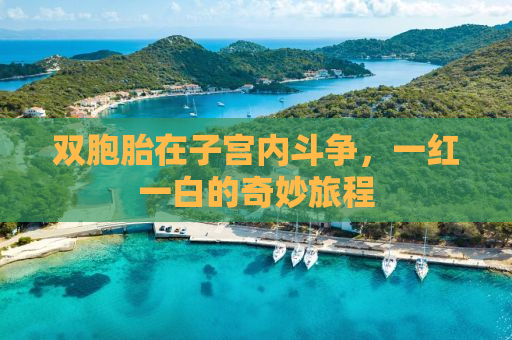 双胞胎在子宫内斗争，一红一白的奇妙旅程