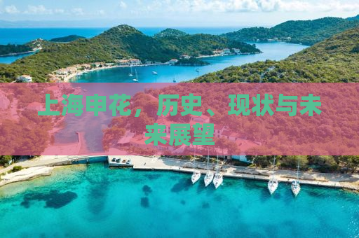 上海申花，历史、现状与未来展望