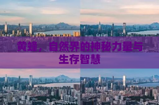 黄蜂，自然界的神秘力量与生存智慧