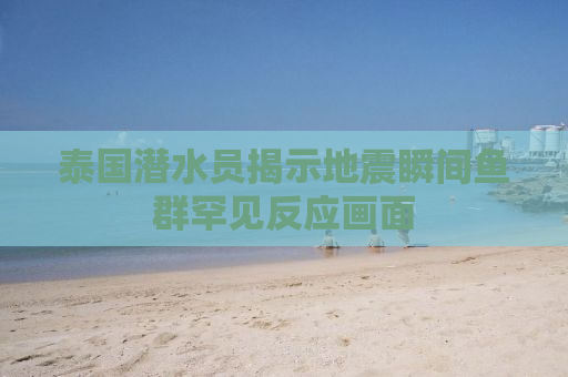 泰国潜水员揭示地震瞬间鱼群罕见反应画面