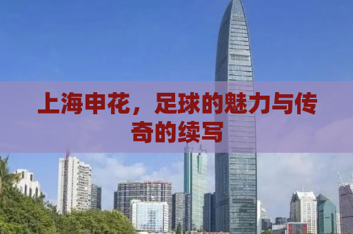 上海申花，足球的魅力与传奇的续写