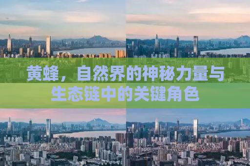 黄蜂，自然界的神秘力量与生态链中的关键角色