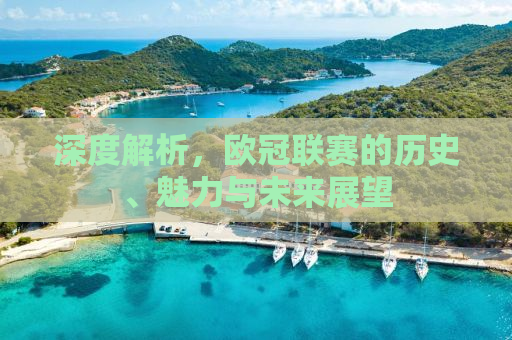 深度解析，欧冠联赛的历史、魅力与未来展望