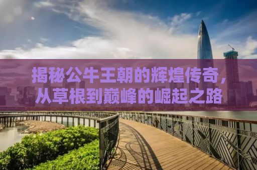 揭秘公牛王朝的辉煌传奇，从草根到巅峰的崛起之路