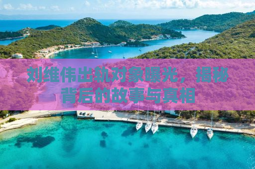 刘维伟出轨对象曝光，揭秘背后的故事与真相