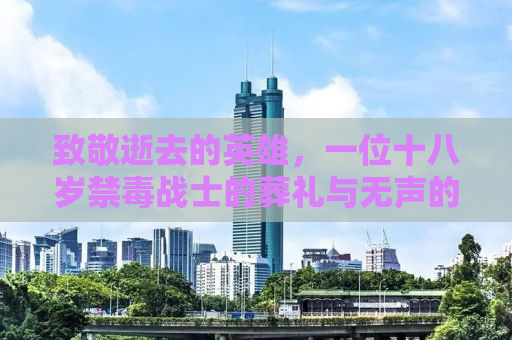 致敬逝去的英雄，一位十八岁禁毒战士的葬礼与无声的告别