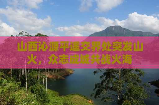 山西沁源平遥交界处突发山火，众志成城共战火海