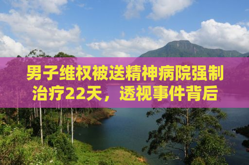男子维权被送精神病院强制治疗22天，透视事件背后的真相与挑战