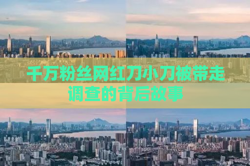 千万粉丝网红刀小刀被带走调查的背后故事