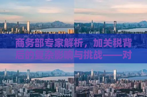 商务部专家解析，加关税背后的复杂影响与挑战——对中国进口的新视角