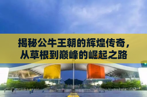 揭秘公牛王朝的辉煌传奇，从草根到巅峰的崛起之路