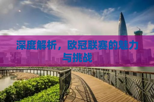 深度解析，欧冠联赛的魅力与挑战