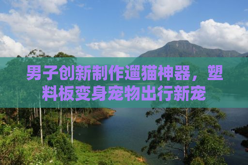 男子创新制作遛猫神器，塑料板变身宠物出行新宠