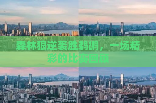 森林狼逆袭胜鹈鹕，一场精彩的比赛回顾