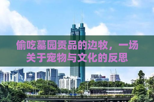 偷吃墓园贡品的边牧，一场关于宠物与文化的反思