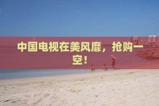 中国电视在美风靡，抢购一空！