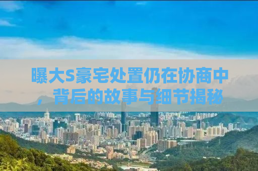 曝大S豪宅处置仍在协商中，背后的故事与细节揭秘