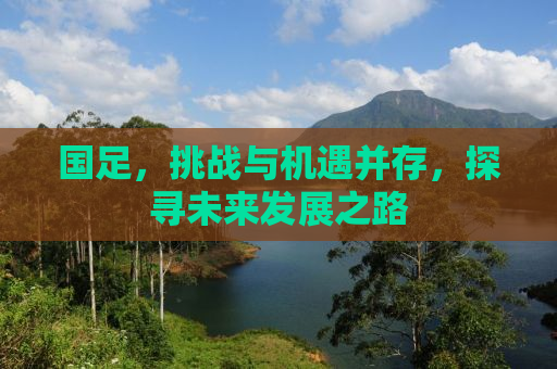 国足，挑战与机遇并存，探寻未来发展之路