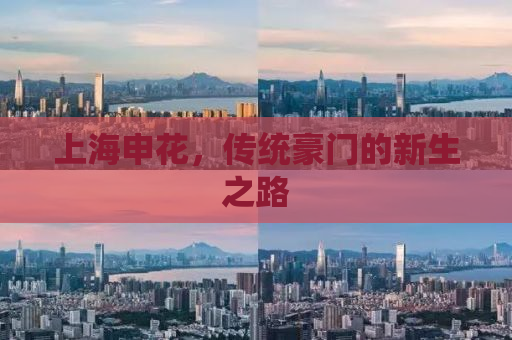 上海申花，传统豪门的新生之路