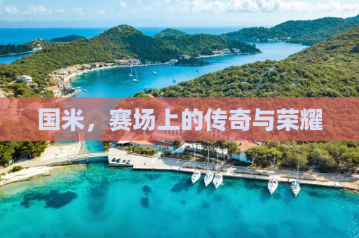 国米，赛场上的传奇与荣耀